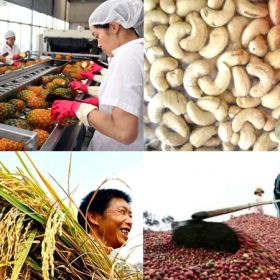 Lợi thế của nông sản Việt Nam trên thị trường quốc tế 