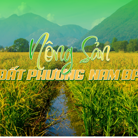 Giới thiệu Công ty TNHH Đất Phương Nam BP – Đơn vị xuất nhập khẩu uy tín