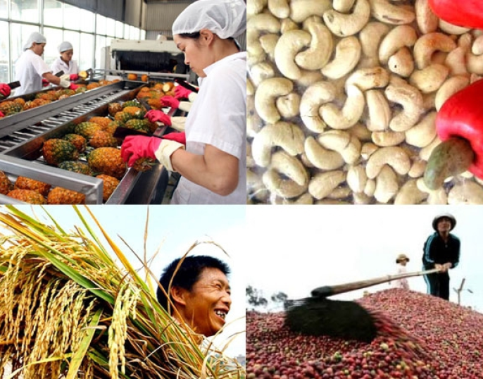 Lợi thế của nông sản Việt Nam trên thị trường quốc tế 