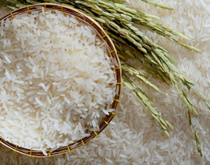 Gạo ST25 là gì? Đặc điểm nổi bật của gạo ST25
