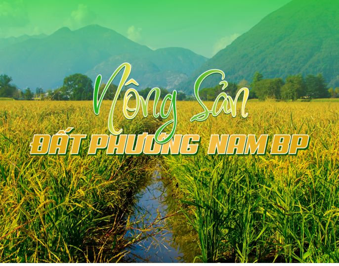 Giới thiệu Công ty TNHH Đất Phương Nam BP – Đơn vị xuất nhập khẩu uy tín
