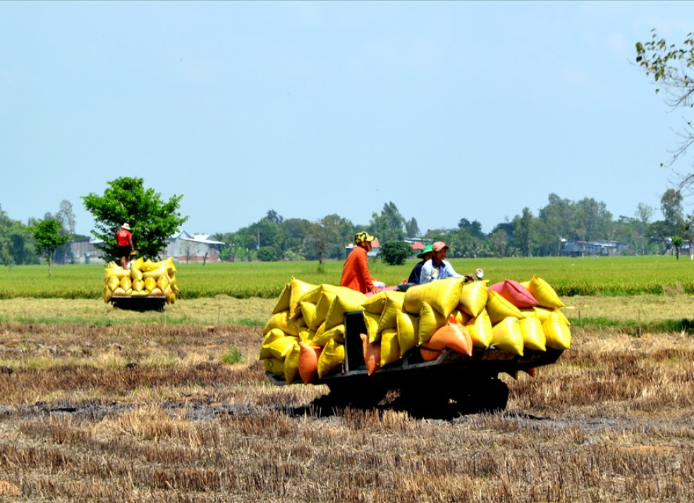 Chứng Nhận An Toàn Thực Phẩm