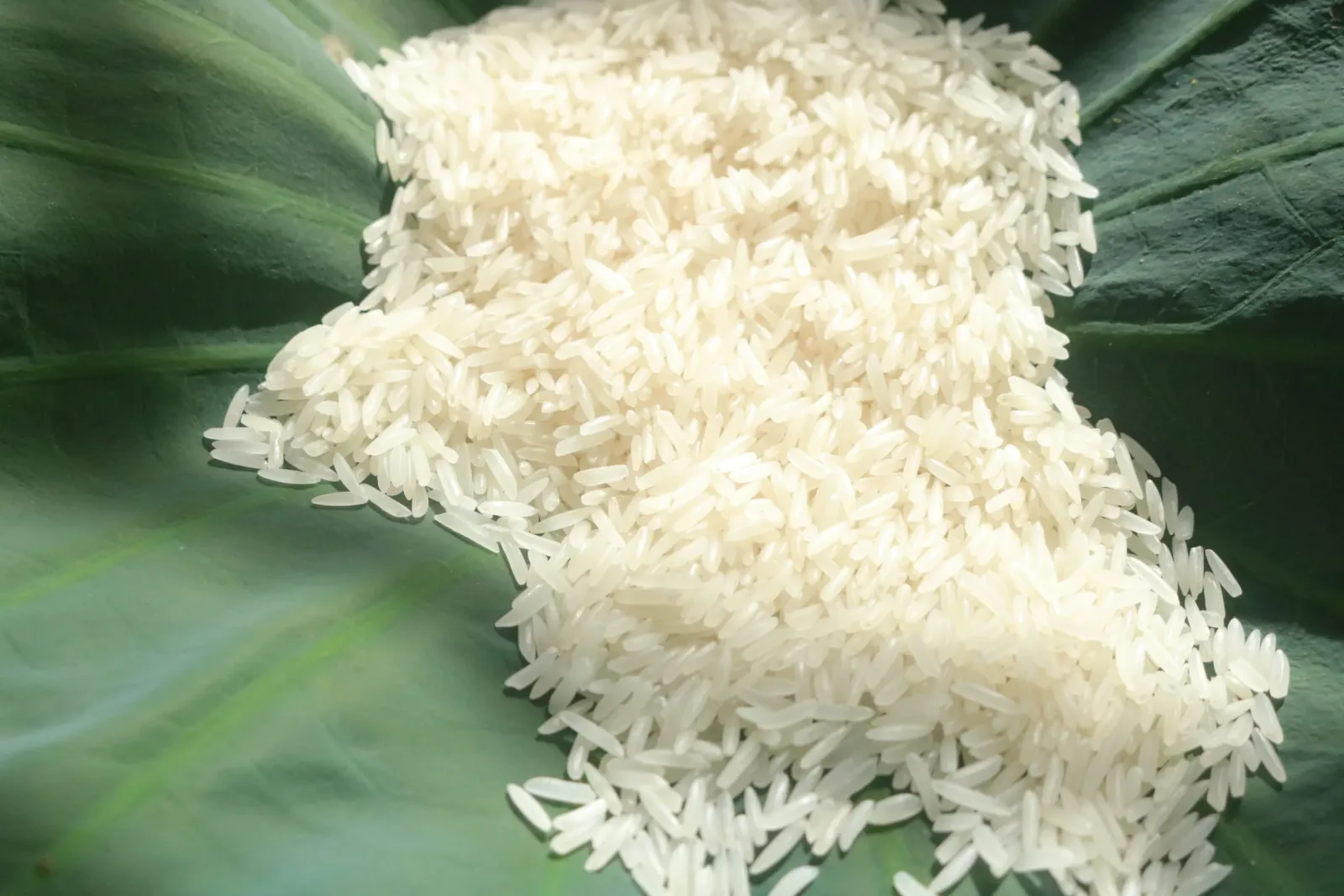 Gạo Dẻo