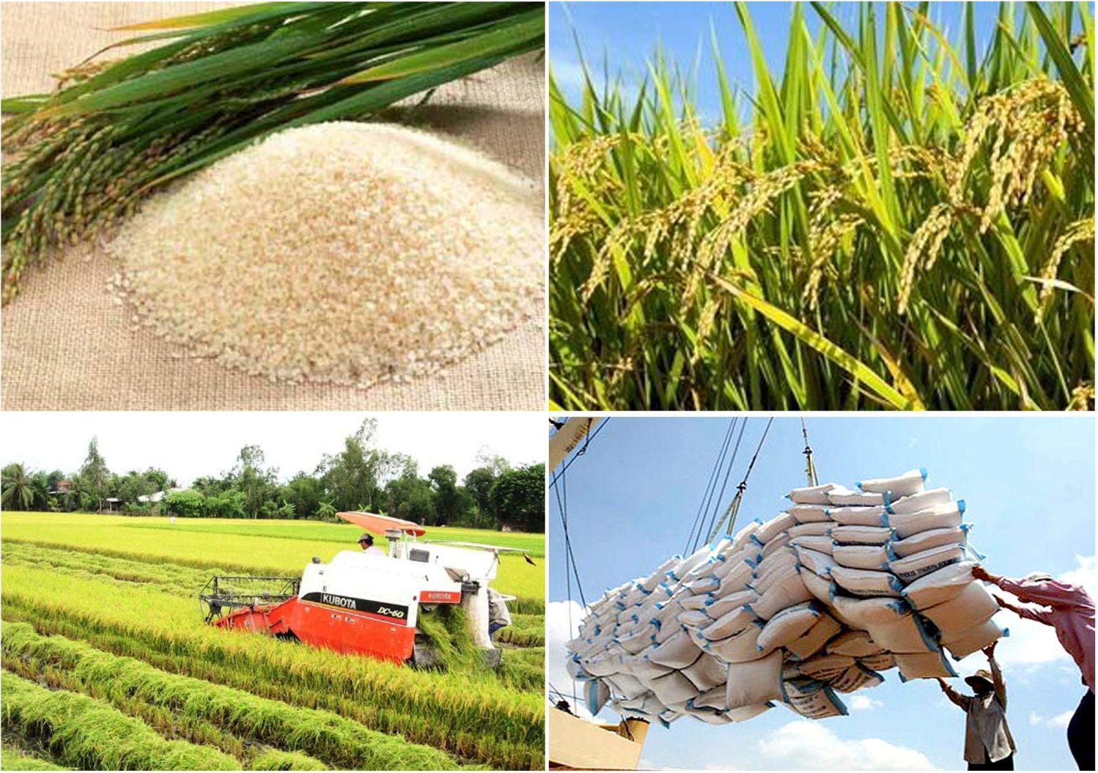 Dịch vụ bảo hiểm hàng hóa