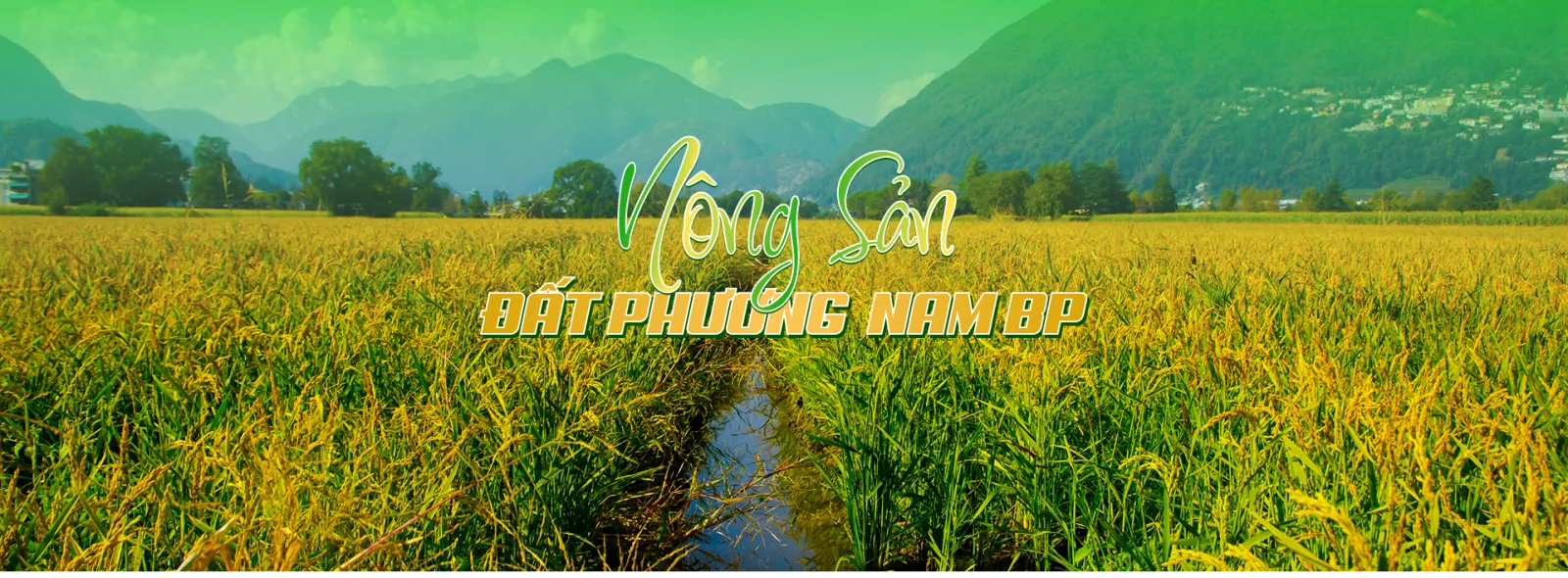 Công ty TNHH Đất Phương Nam BP